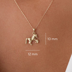 14k-altin-at-kolye-4