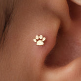 14k-altin-pati-piercing