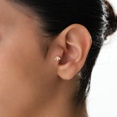 14k-altin-ari-piercing-11