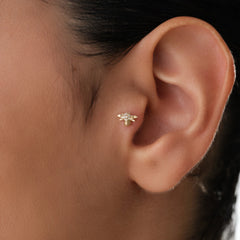 14k-altin-ari-piercing-2