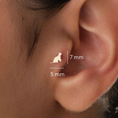 14k-altin-kedi-piercing-3