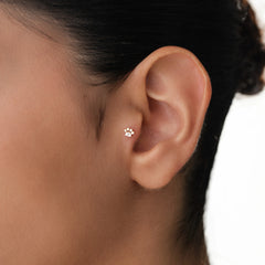 14k-altin-pati-piercing-11
