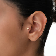 14k-altin-pati-piercing-1