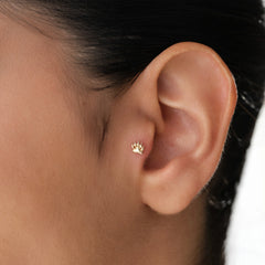 14k-altin-pati-piercing-22