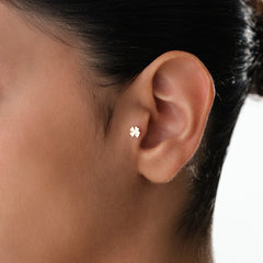 14K Altın Yonca Piercing