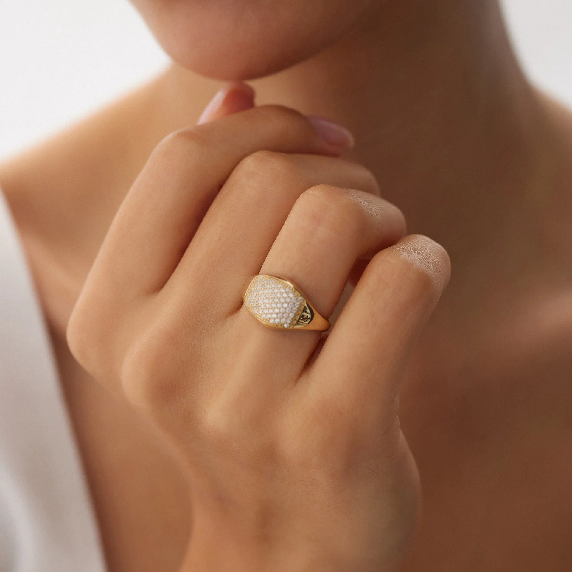 14 Ayar Altın Taşlı Şövalye Yüzük